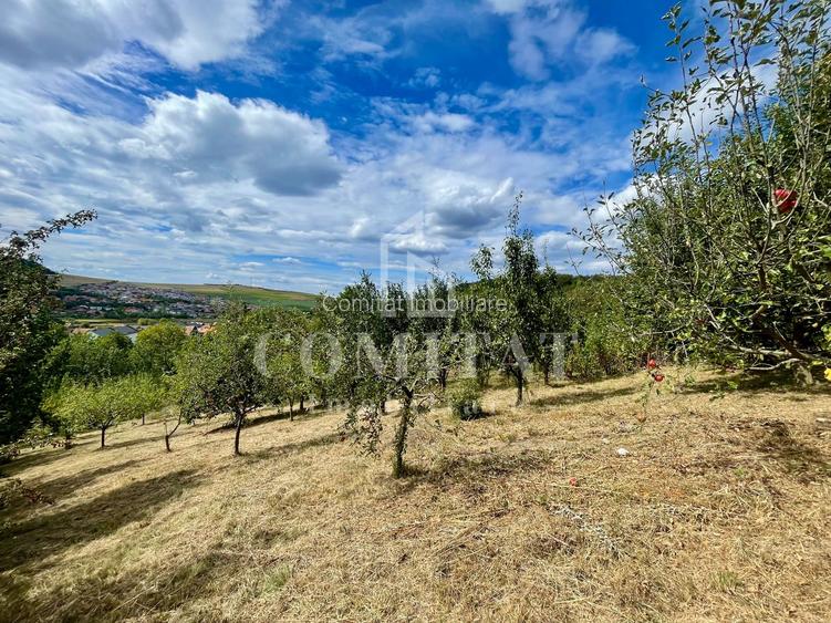 Casă + 1 apartament separat pe teren de 1.949 mp  cu panoramă Chinteni - 30