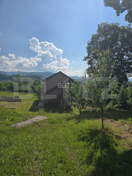 Livada de vanzare, 16.000 mp, zona Hodac