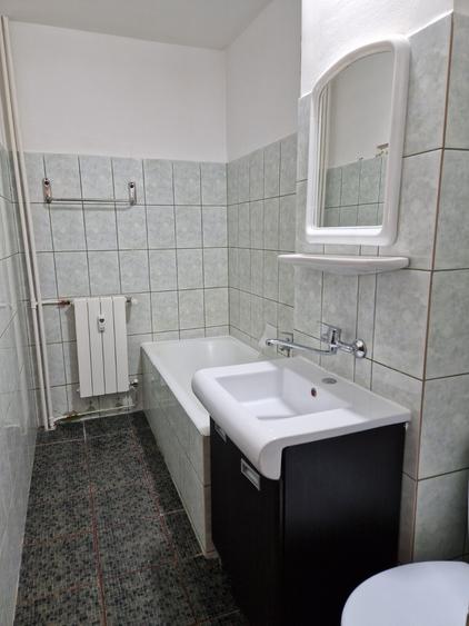 Teiul Doamnei, Facultatea de Constructii, 25mp, mobilata/utilata, 1985, AC