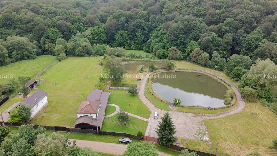 Complex turistic și proprietate deosebită de vânzare în Valea Dobârlău - 2