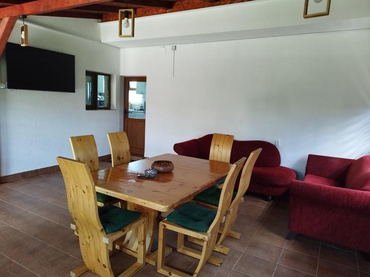 Casa P+1 cu garaj,foișor,teren 4800mp