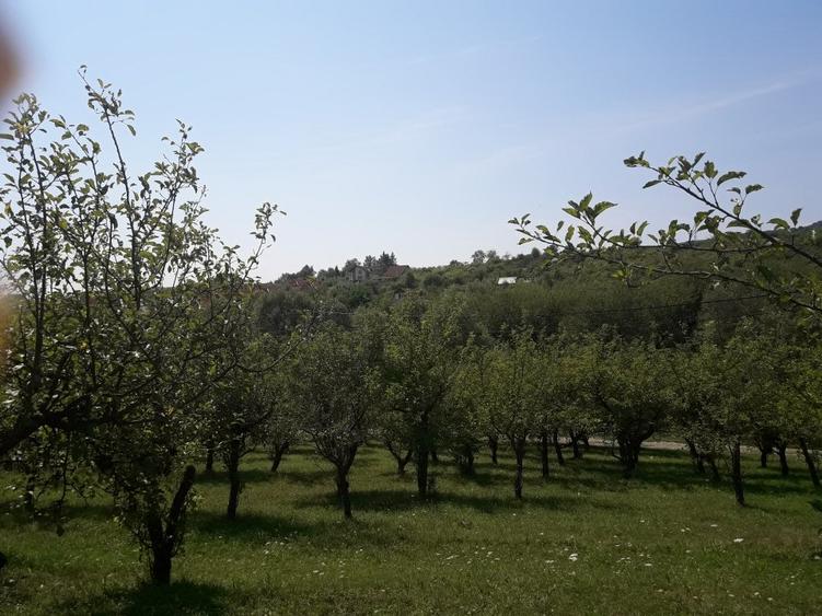85 ari teren extravilan, intre case, la limita intravilanului Zona Valea Rusului