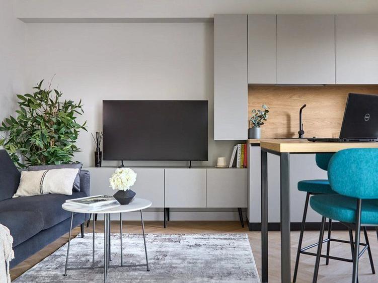 STUDIO - PIPERA DE INCHIRIAT // Pet friendly