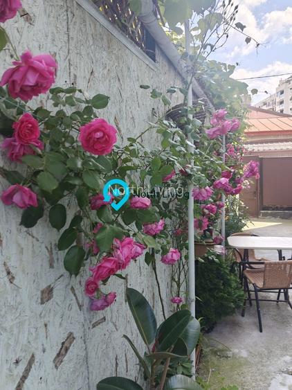 Proprietate rară în Popa Nan – 3 camere | Curte | Gradina - 23