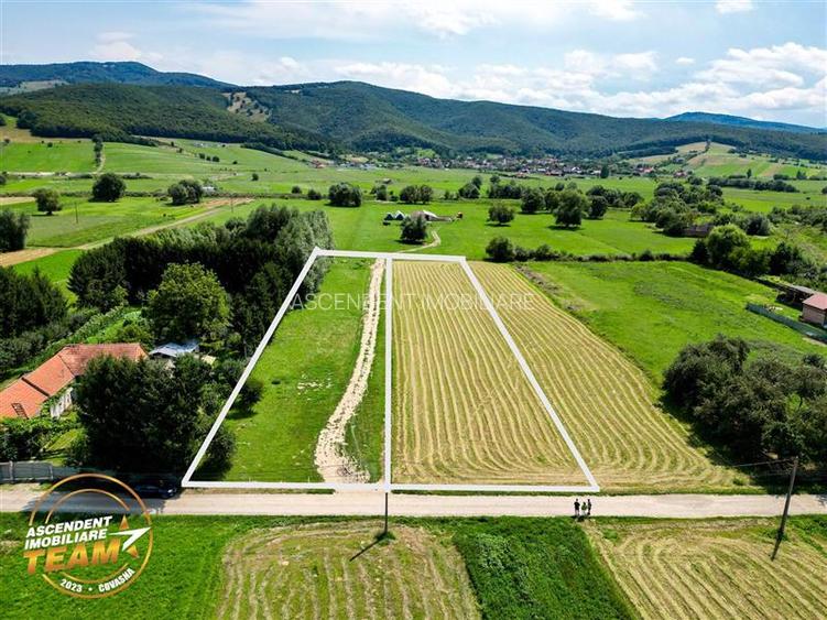 Lot cu deschidere oportunitate de dublare suprafata:rezidential/investitional - 3