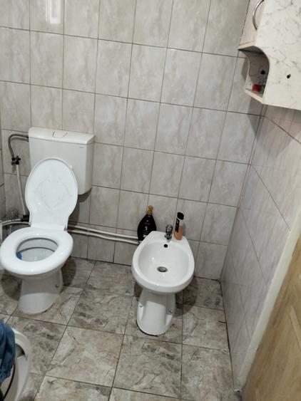 Casă 60 mp utili, teren 1.400 mp | Borșa (Răscruci), Cluj