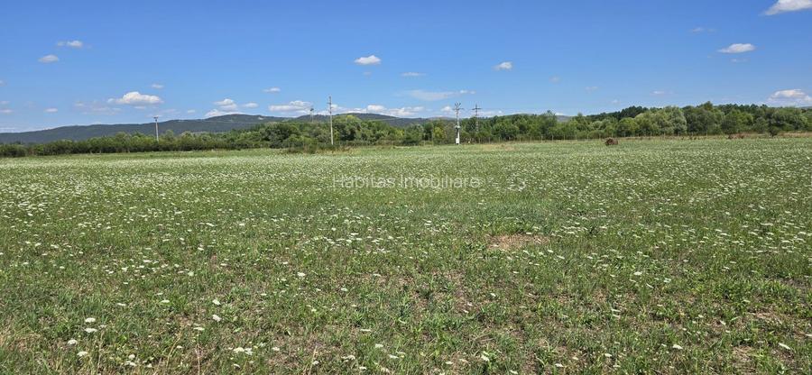 Teren în zona Răscruci – ideal pentru hală, toate utilitățile - 5