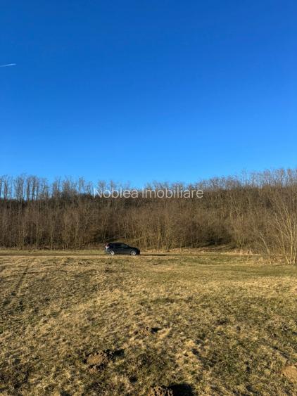 Oază de liniște cu vedere la munți – 2.400 mp lângă Aeroportul Sibiu (Cristian) - 5