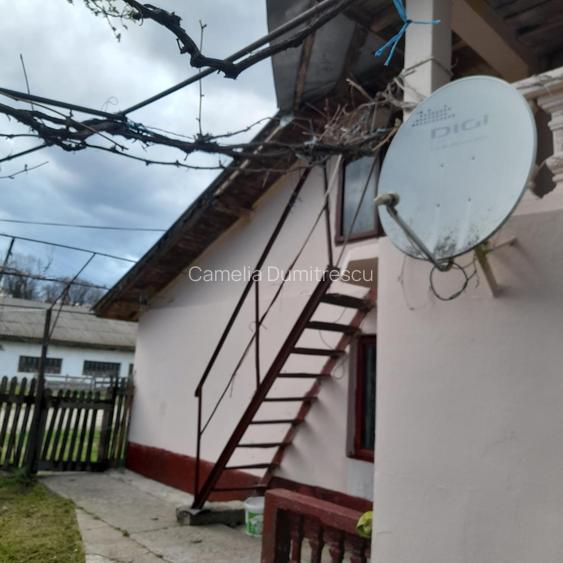 OPORTUNITATE! FERMA FUNCTIONALA, CASA RENOVATA SI TEREN 5HA - 7