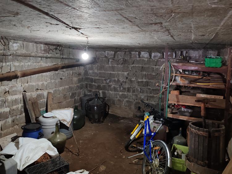 Casa 3 camere libera la vanzare TARLUNGENI