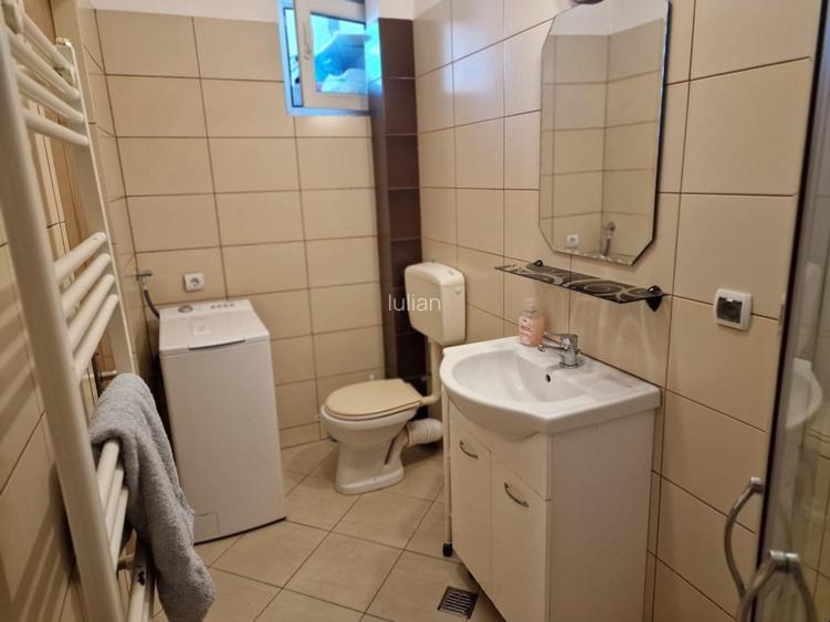 Garsoniera Bucurestii NOi Bazilescu - 7