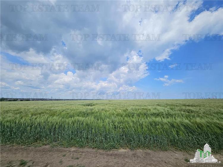 TEREN INTRAVILAN 50000 MP AGIGEA ZONA RO RO