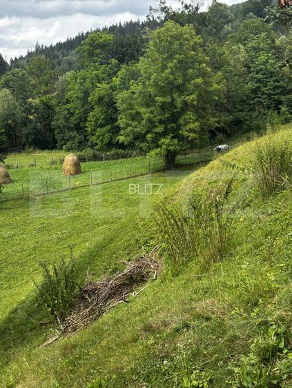 Teren intravilan de vânzare, 6500mp + o casă bătrânească, în Voroneț - 7