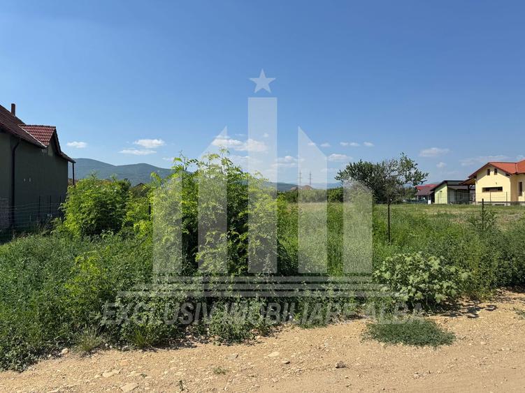 Teren intravilan | 4000 mp | 24.5 ml deschidere | Alba-Micesti