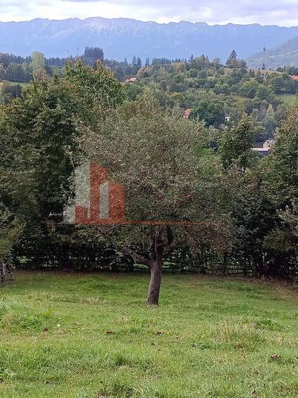 Teren intravilan 1.300 mp | Vedere Piatra Craiului | Bran Poarta