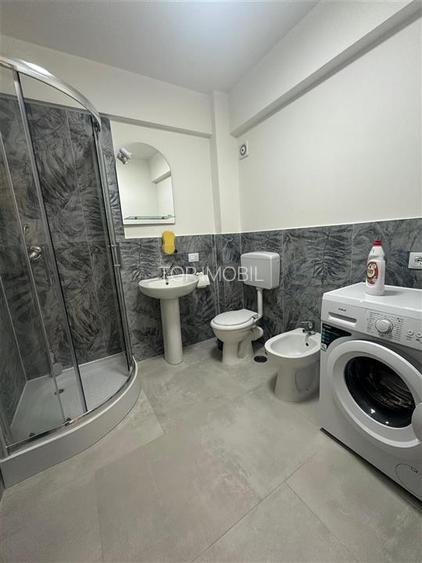 Inchiriere Apartament cu 2 camere Visani - 4