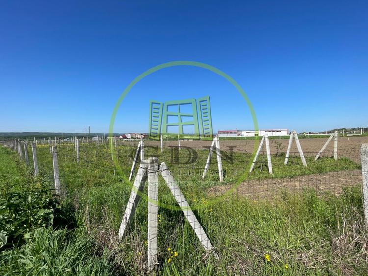 Teren intravilan 8.677 mp cu utilități în Răcari, zona Vatra Romana