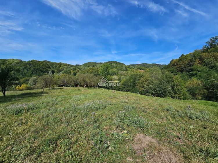 Teren 10.215mp langa padure | 4000 mp intravilan | Vulcana de Sus