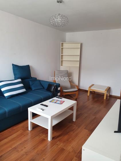Inchiriere 2 camere Teiul Doamnei - 4