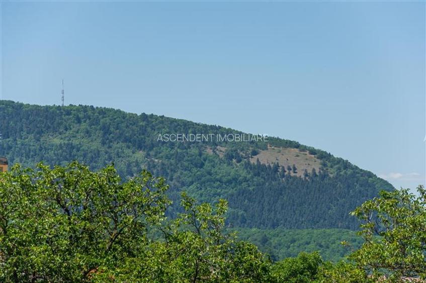Pensiune cu restaurant, profit asigurat din chirii, terasa spre munte, Brasov - 22
