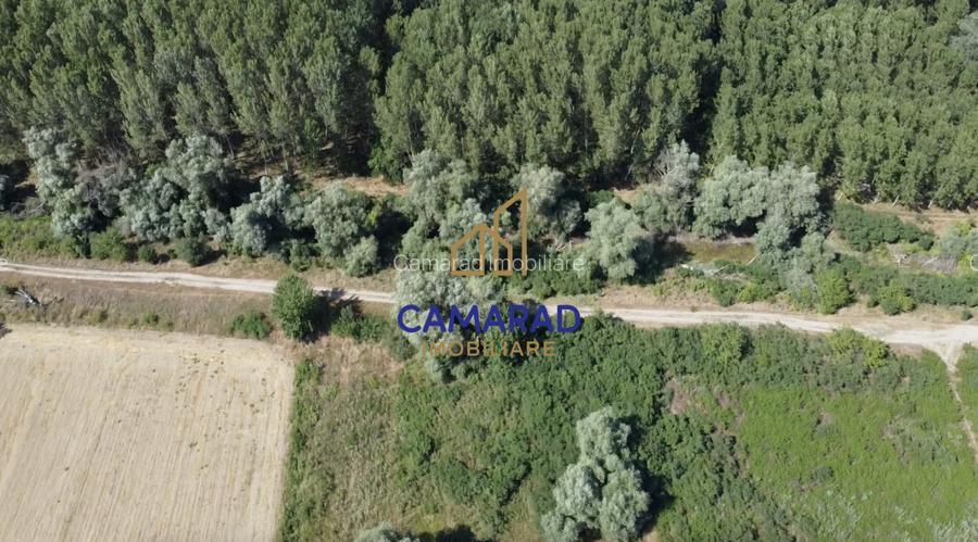 Teren de vânzare | Deschidere la Dunare | Băltenii de Sus, Com. Beștepe, Tulcea