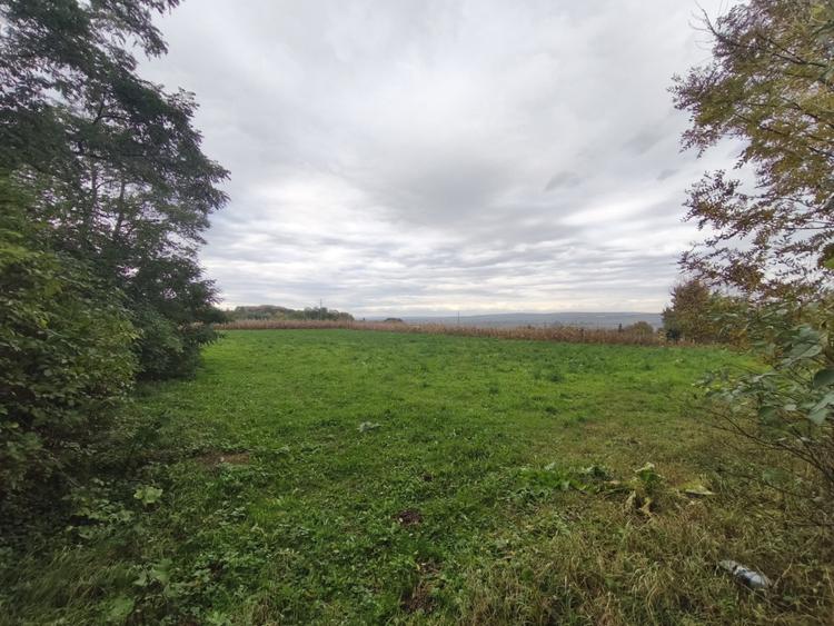 Casa individuala, 60mp, teren 3000mp, zona Padureni, Siret