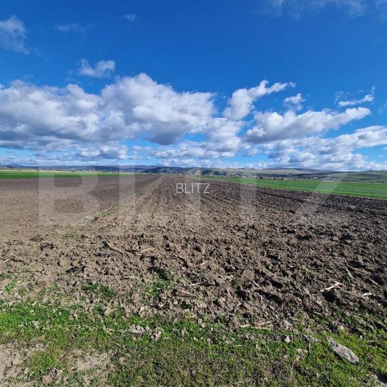 Teren Extravilan 15000 mp- parcelat in 3 loturi Bod- 5000 mp fiecare parcela - 4