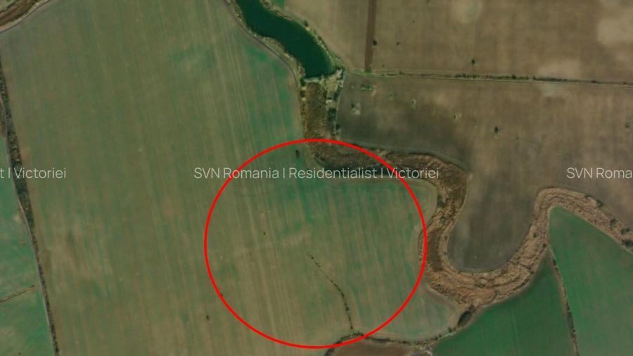 REL4001316 Investitie - Teren extravilan 3 hectare langa Padurea Oracu - 4