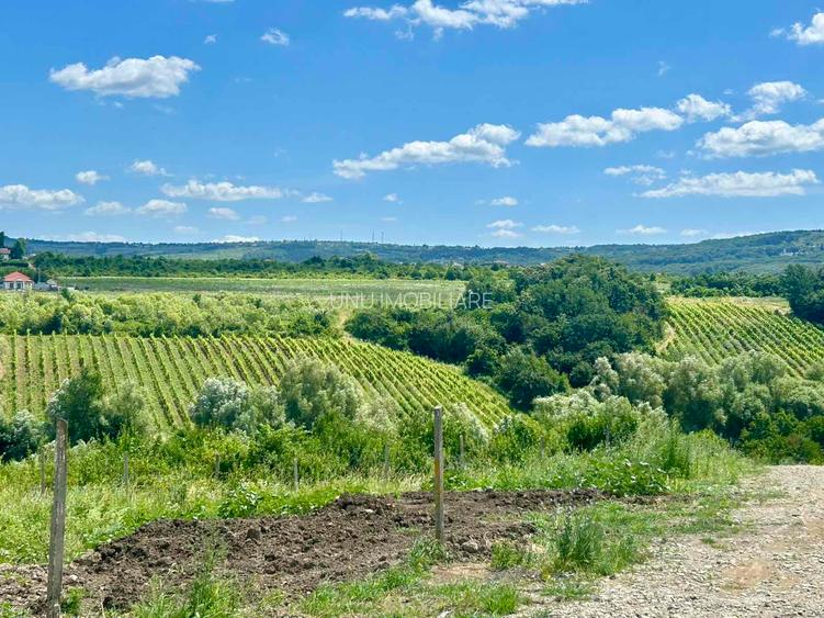 Teren intravilan 670 mp Vișan, Bârnova Iași - Rate la proprietar, 4 km sos Bucium - 5