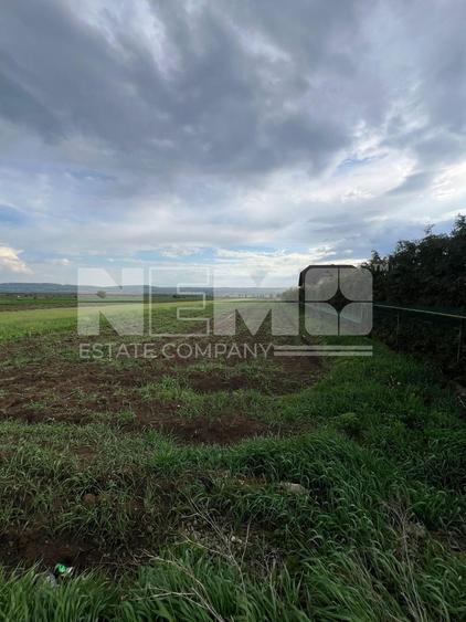 🌟 Teren de Vânzare 20 Ari | Salcea, Suceava | 💥 Preț: €59.600