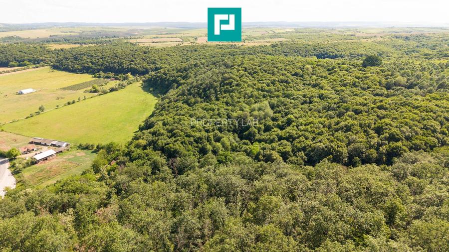 TEREN AGRICOL EXTRAVILAN  22.900 MP LIPOVA - 16