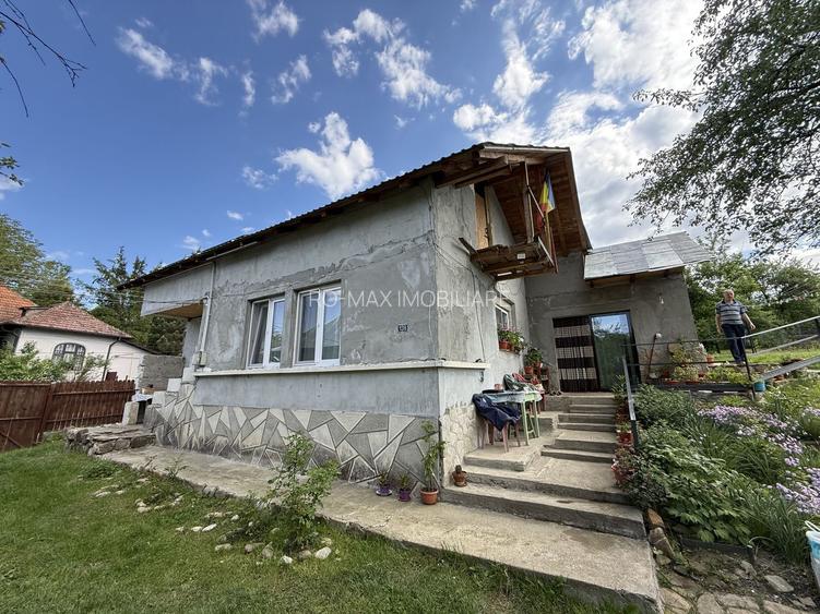 2 Case + teren 1390 mp langa parcul central Provita de Sus - 31