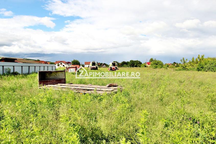 Unirii - Teren intravilan 4800 mp - la sosea