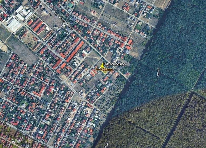 Teren intravilan 1.466 mp Dumbrăvița, utilități la front, lângă Pădurea Verde - 3