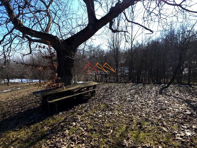 CASĂ INDIVIDUALĂ CU LIVADĂ | 2.195 MP TEREN | POIANA CÂMPINA - 35