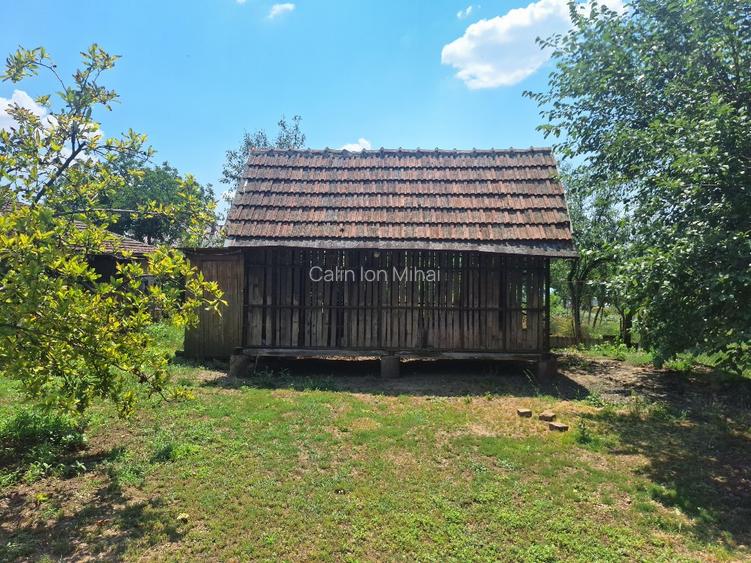 Vand doua case cu teren livada nuci si pruni - 11