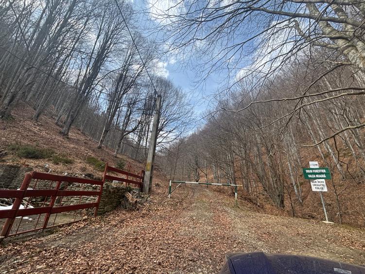VANZARE PADURE MANECIU -CHEIA, 40HA