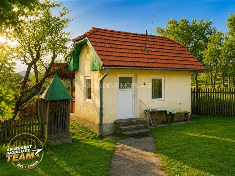 FILM! 5.000mp teren intravilan cu casuta rustica, Dalnic, Covasna - 17