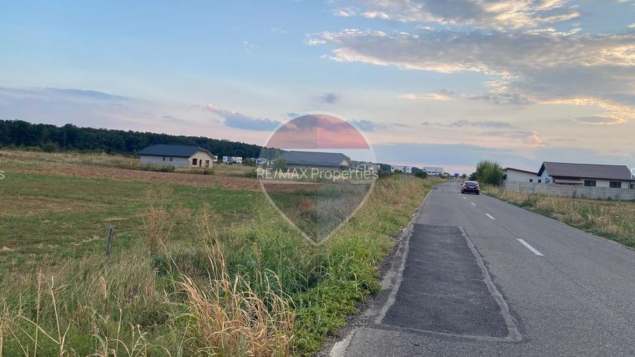 Teren 5,000mp Samurcasi / Strada Guliei - 2