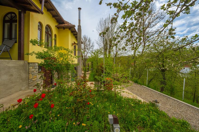 Provita de Sus, Prahova, Casa renovata, Comision 0 %
