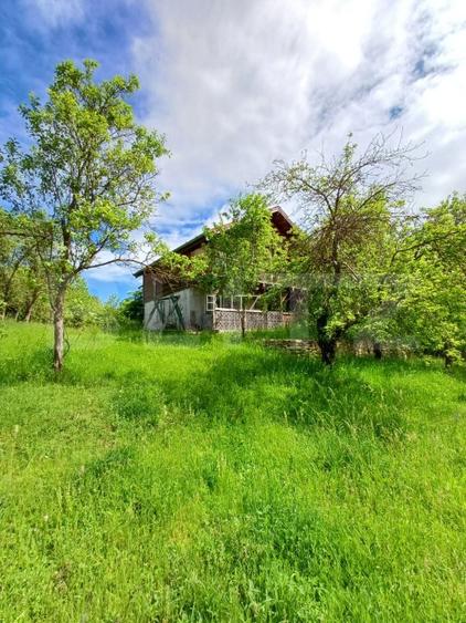 Casa 3 camere si teren 4873 mp  în Pietroasa, Moldovenești - 17