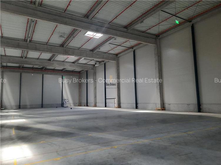 Spatiu Industrial - 4000 mp - Logistica - Productie - Depozitare - Distributie - 11
