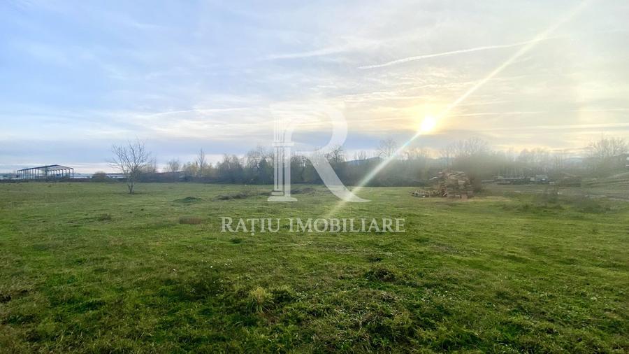 EXCLUSIV | TEREN INTRAVILAN | INVESTIȚIE | BEIUȘ – STR. PLOPILOR | 13.500 MP