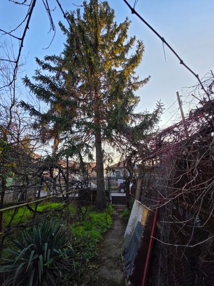 Damaroaia 4 camere casa veche