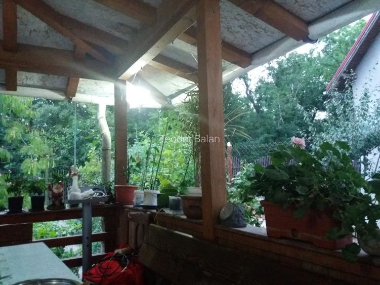 Vând casă în orașul Buziaș sau schimb cu apartament la parter, în Timișoara. - 9