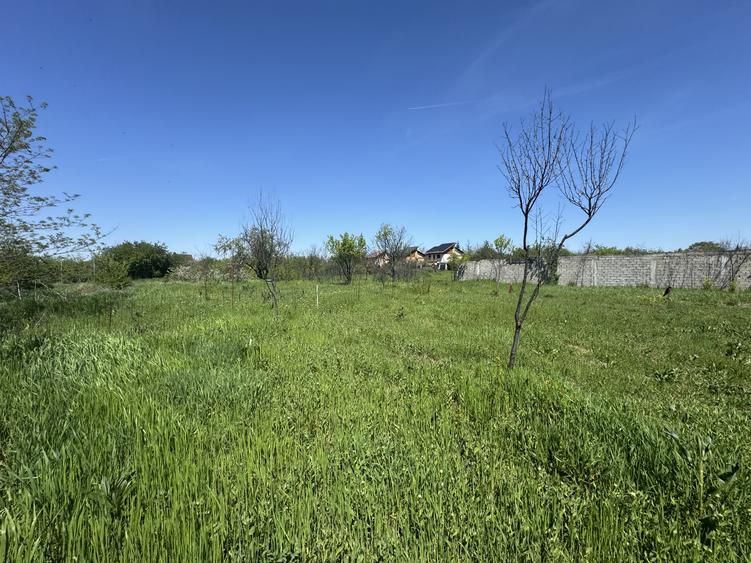 Teren Premium 2775mp Olteni – Utilități complete, la asfalt, potential ridicat