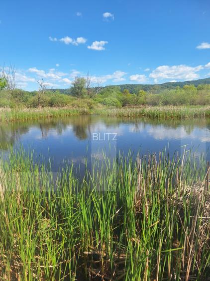 Teren de vânzare 1.600 mp cu deschidere la lac – zona Lacul Surduc - 18