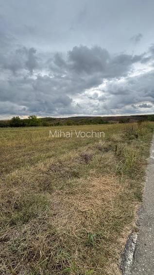Vand teren Intravilan 1400 MP in Parcul National Comana - Vlad Tepes - Giurgiu - 8