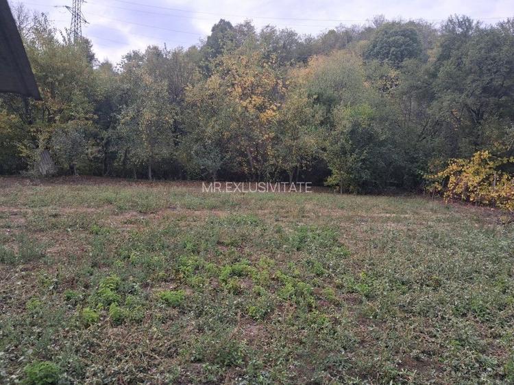 Casă tradițională cu teren generos – Borosteni, Peștișani, jud. Gorj - 3