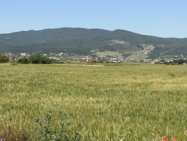 Teren Extravilan | 11.100 MP | 32M Deschidere| Orizont-Bărăbanț | OPORTUNITATE |